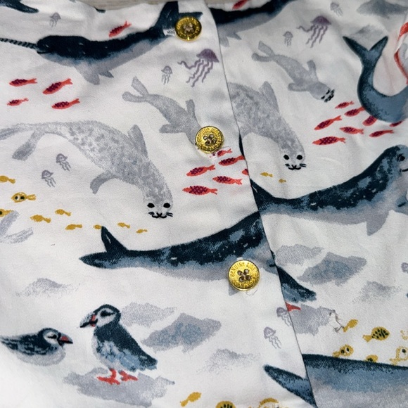 NWT- Genuine Kids from Osh Kosh Sea Creatures Dress- Size 4T - Picture 4 of 4